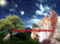 /album/prodotti-clip-angeli/screenshot-2013-01-13-20-08-50-filigrana-jpg/
